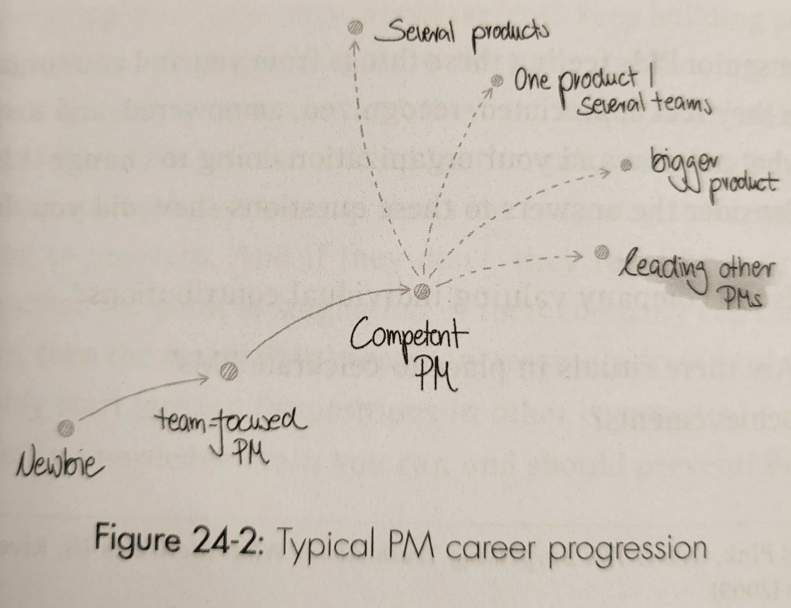 Typically growth path for early career PMs